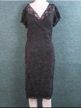 For Kitty Rescue! Blu Sage Tiered Lace Beaded Dress